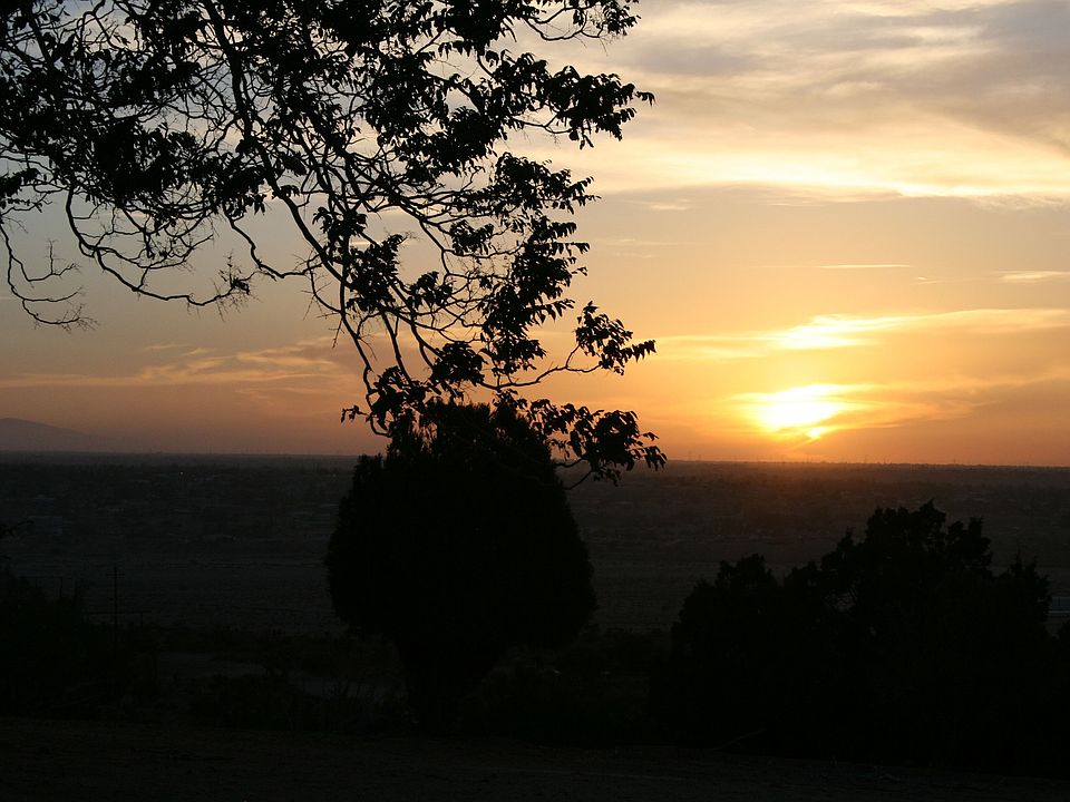 View from Front Porch Swing