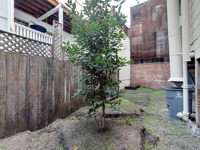 616 Hayes St #3 — Photo 16
