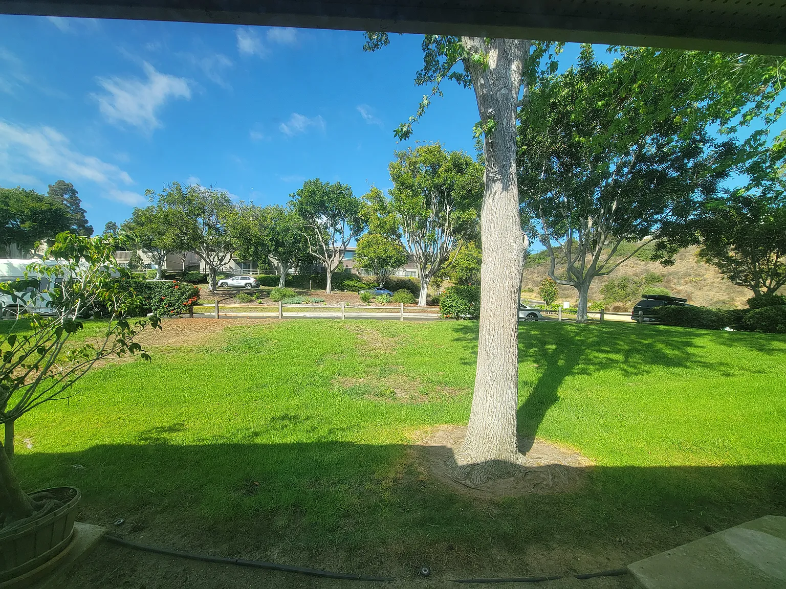 2 bed, 948 sqft, $1,490 — Photo 4