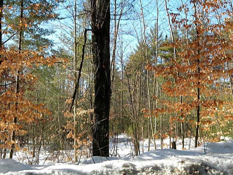 1st image of Lot 5 Fern Drive