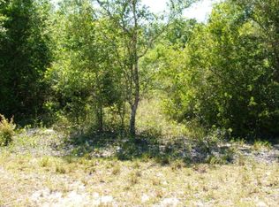 497 Street, Old Town, FL 32680