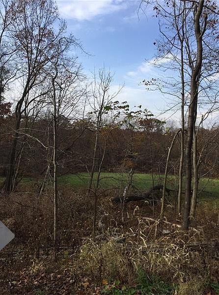 2nd image of 121 Aiken Ln