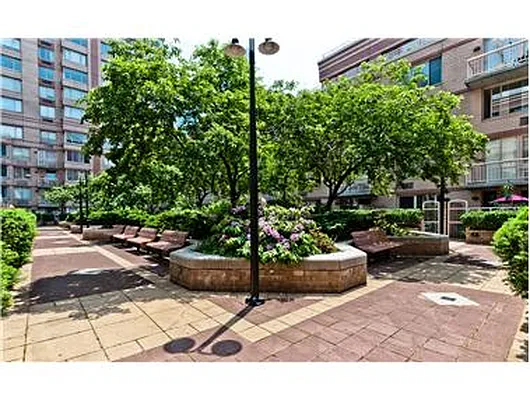 Rented by Douglas Elliman | media 15