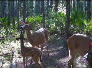 4406 Mark Allan Rd, Keystone Heights, FL 32656