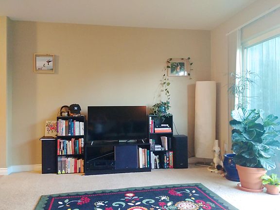 Media / entertainment center in living room
