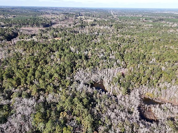 5th image of 160 Louie Miller Rd