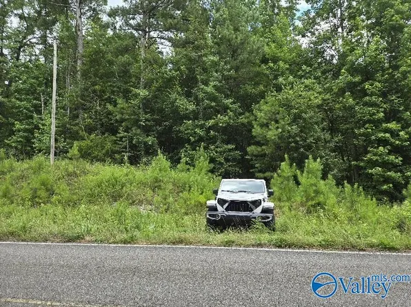 Clairmont Springs Rd, Lineville, AL 36266