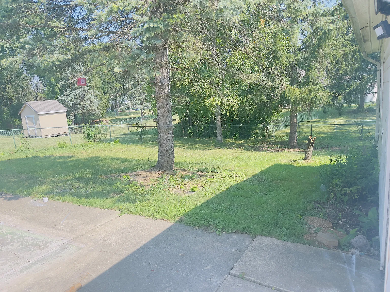 4 bed, 1.5 bath, 1069 sqft, $3,600 — Photo 4