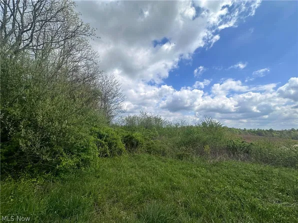S State Route 555 #1.698, Chesterhill, OH 43728