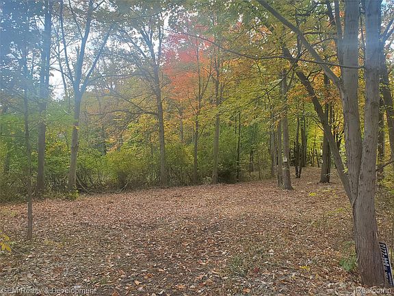 5th image of 5700 Seven Mile Rd