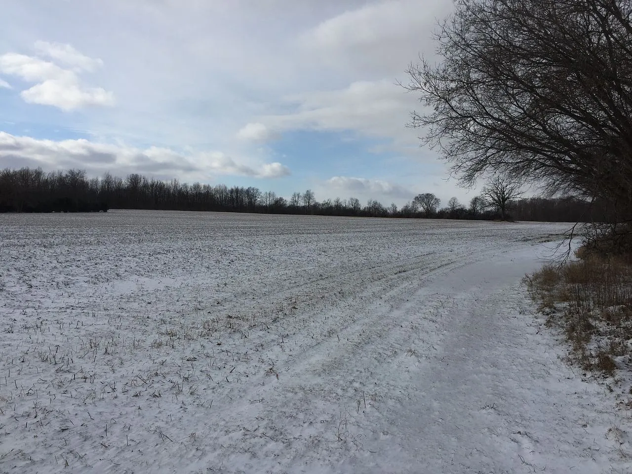 Cullen Rd photo 1