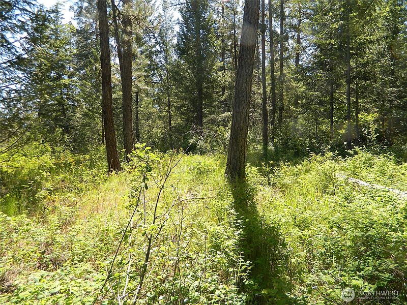 5th image of 0 Tbd Murphy Ranch Road