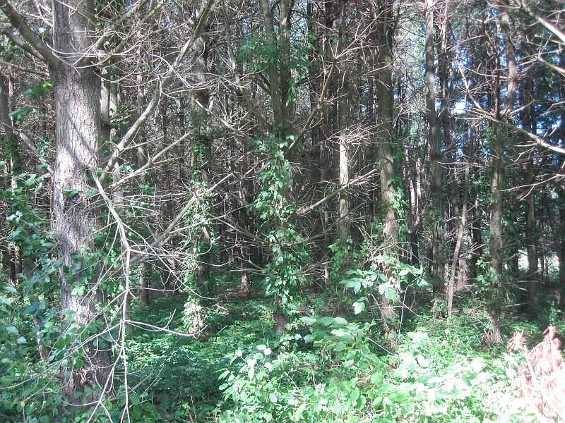 2nd image of 0 Talford Rd NW