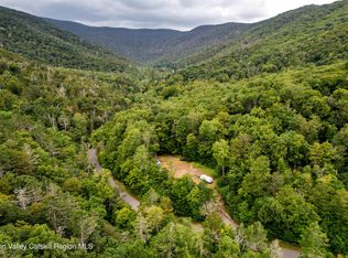 208 Pantherkill Rd, Phoenicia, NY 12464