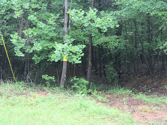 2nd image of 393 Goldmine Rd