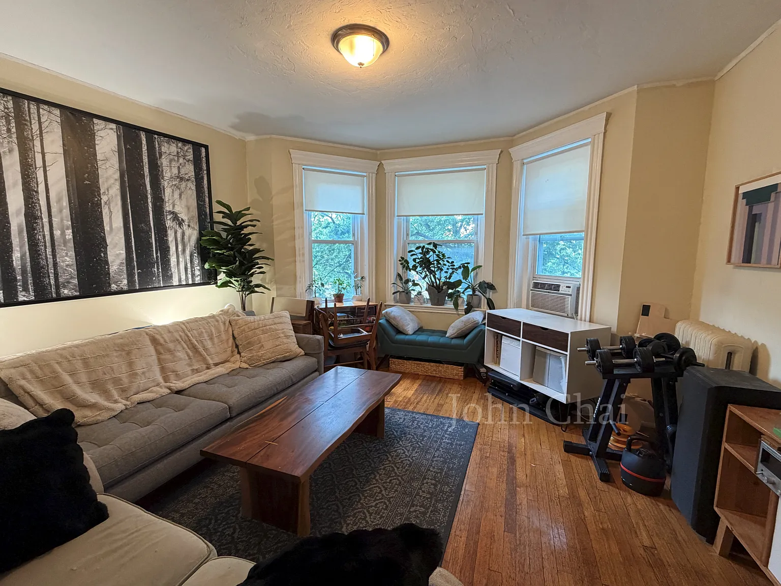 1 bed, 650 sqft, $2,350 — Photo 3