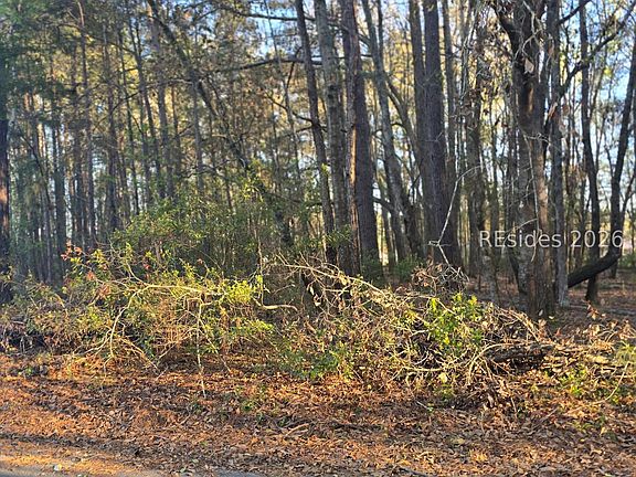 5th image of 12 Freeman St