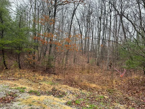 N/a Woodland Trl, Sunbright, TN 37872