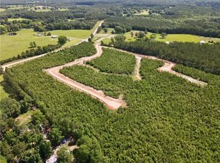 PARCEL 3 Highway 436, Franklinton, LA 70438