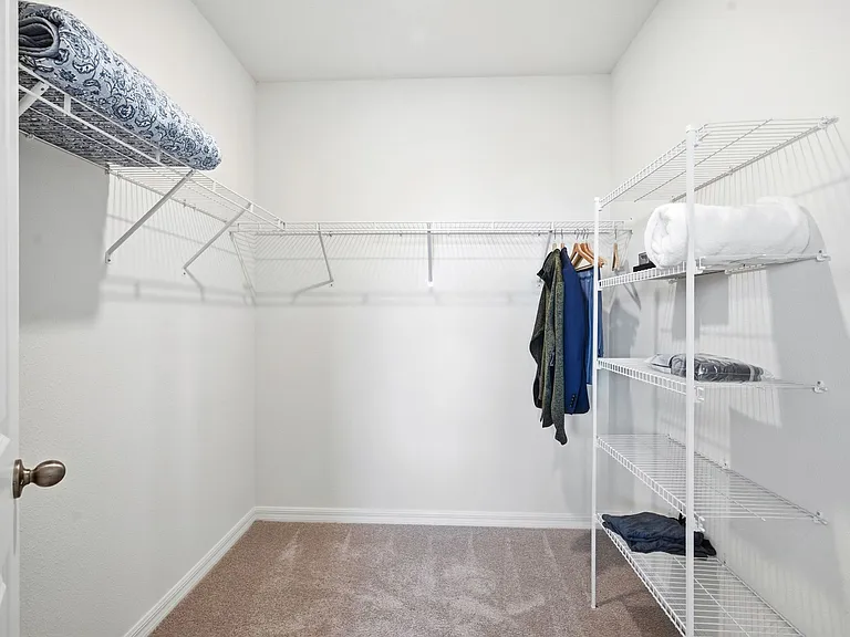 33702 Garden Sage Isle — Photo 49