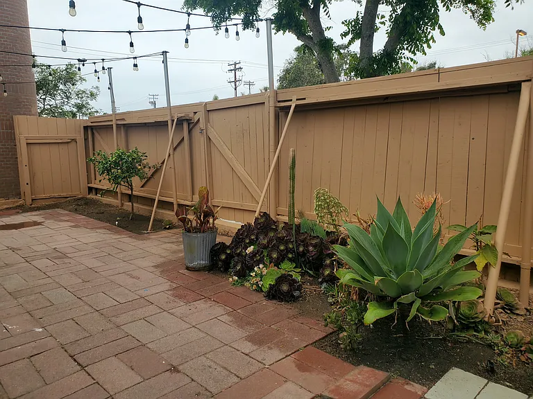 911 Hornblend St — Photo 3