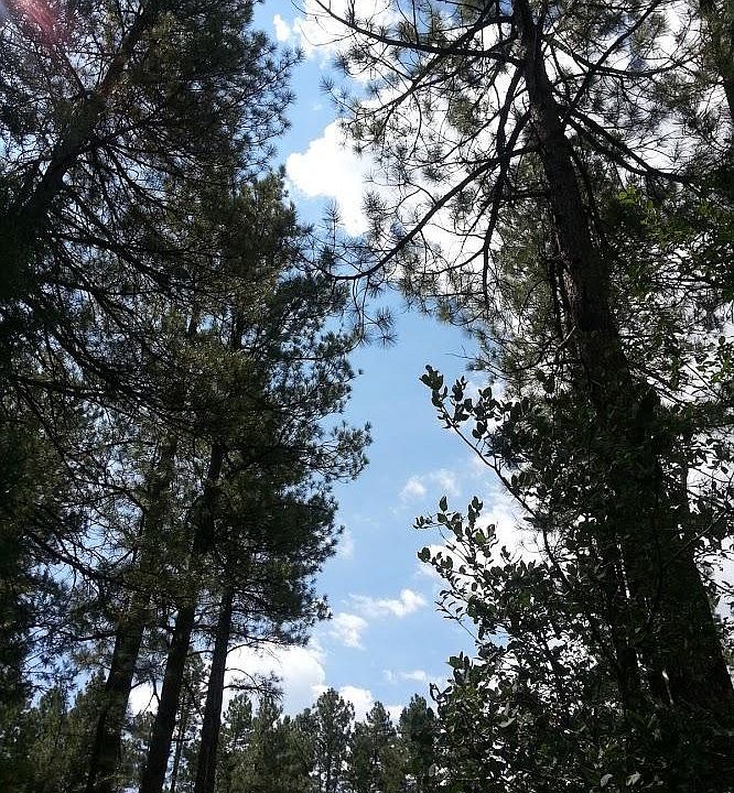 1st image of 71 Solitude Pnes Lot 71