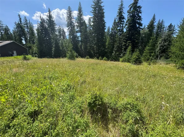 13643 Sundance Trl, Bigfork, MT 59911