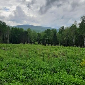 Lot 16 Oakes Road Lot 16, Colebrook, NH, 03576