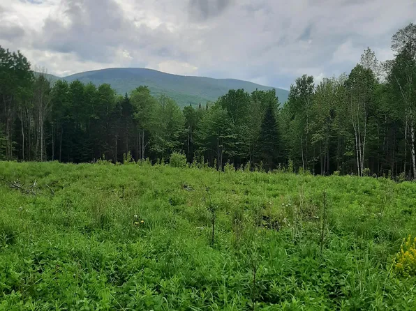 Lot 16 Oakes Road Lot 16, Columbia, NH 03576