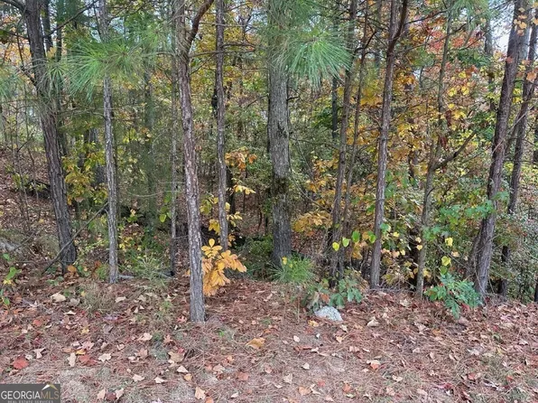 148 Spring Lake Trl, White, GA 30184