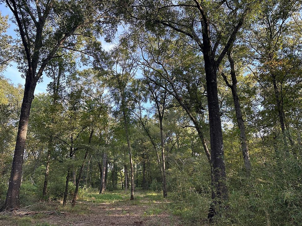 2nd image of 0 Buck Creek Rd
