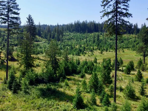7 Peaceful Valley Rd, Kamiah, ID 83536