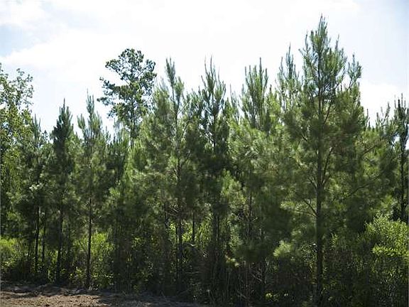2nd image of County Road 4020