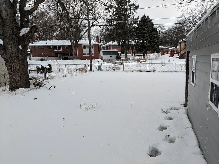 Large, fenced backyard