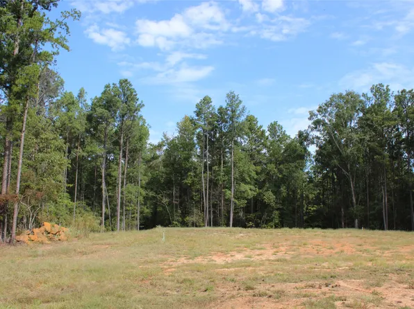 314 Wilderness Trl, Minden, LA 71055