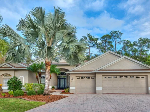 17388 Emerald Chase Dr, Tampa, FL 33647