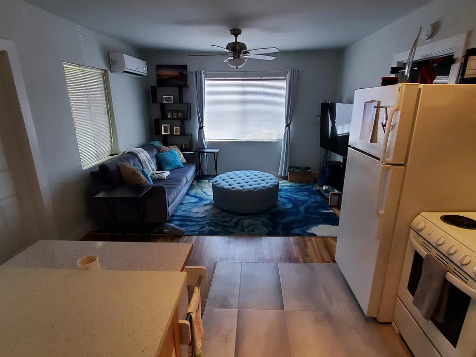 Living Room (with ceiling fan and mini-split system)