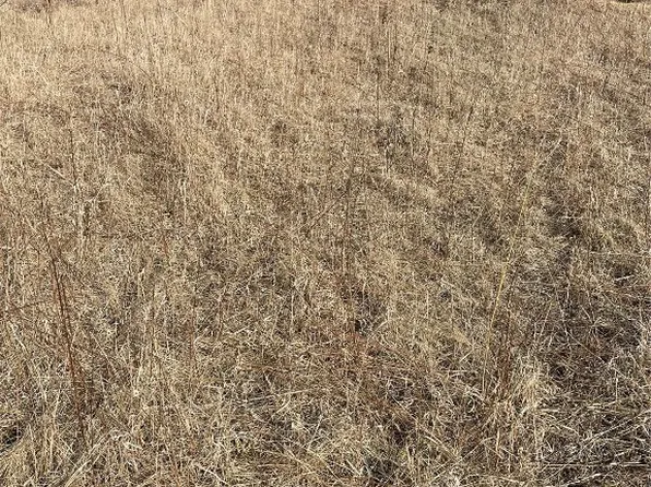 53rd Street Dr, Walker, IA 52352