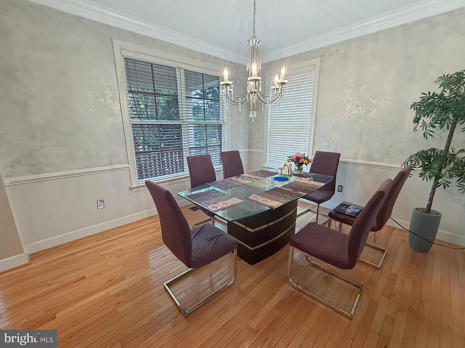 5 bed, 4.5 bath, 2798 sqft, $4,799 — Photo 3