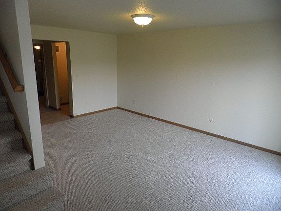 Basement Living Room or Bedroom