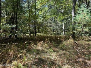 3 Foley St, Renovo, PA 17764