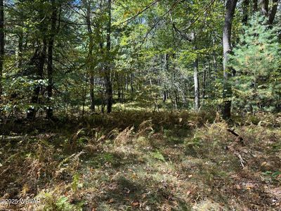 3 Foley St, Renovo, PA, 17764