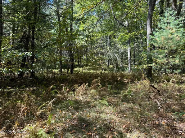 3 Foley St, Renovo, PA 17764