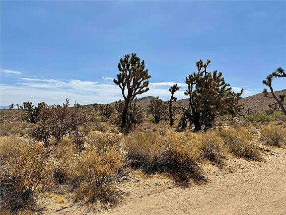 4th image of 327-07-341 SEQUOIA Drive