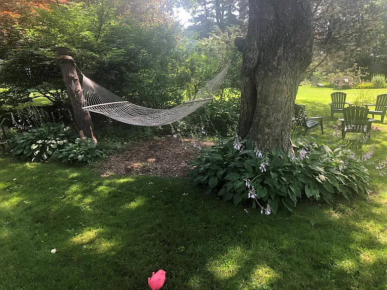 55 Everett St #1 — Photo 35