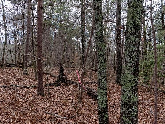 4th image of 1475 Paradise Park Rd