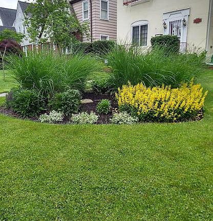 4th image of 2865 Dresden St