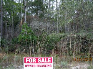 215 Hawksnest Rd, Satsuma, FL 32189