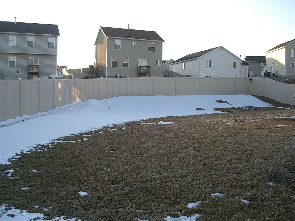 Spacious back yard (1)