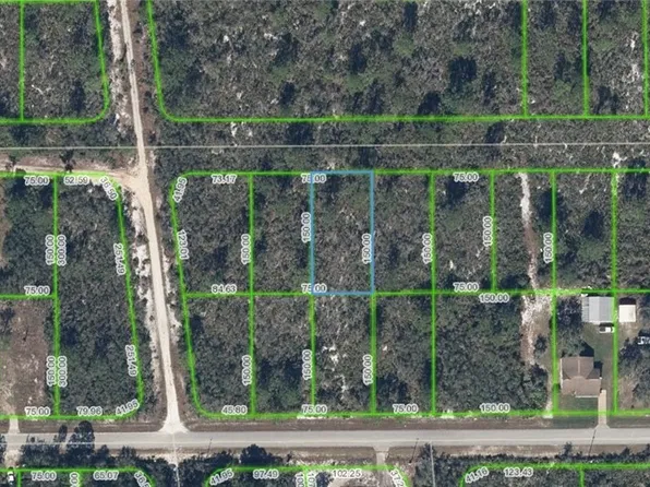1505 Columbine St, Lake Placid, FL 33852